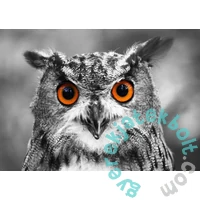 Enjoy 1000 db-os puzzle - Curious Owl (1626)