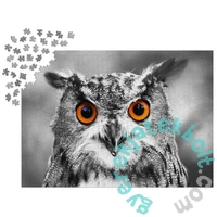 Enjoy 1000 db-os puzzle - Curious Owl (1626)