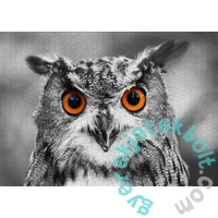 Enjoy 1000 db-os puzzle - Curious Owl (1626)