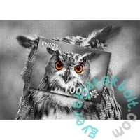 Enjoy 1000 db-os puzzle - Curious Owl (1626)