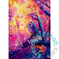 Enjoy 1000 db-os puzzle - Dreamy Owl (2400)