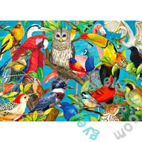 Enjoy 1000 db-os puzzle - Feathered Fenzy (2032)