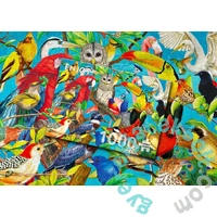 Enjoy 1000 db-os puzzle - Feathered Fenzy (2032)