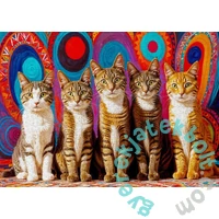 Enjoy 1000 db-os puzzle - Five Cats (2131)