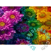 Enjoy 1000 db-os puzzle - Flower Vortex (2346)