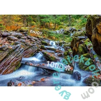Enjoy 1000 db-os puzzle - Forest Stream in Autumn (1281)