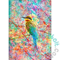 Enjoy 1000 db-os puzzle - Happy Bird (2178)