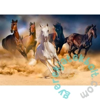 Enjoy 1000 db-os puzzle - Horses Running in the Desert (1356)