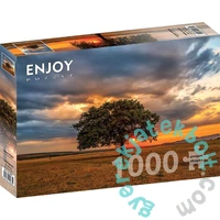 Enjoy 1000 db-os puzzle - Leaves Eclipse (2065)