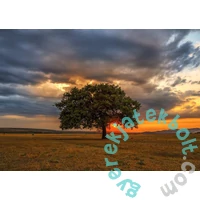 Enjoy 1000 db-os puzzle - Leaves Eclipse (2065)