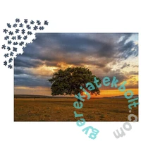 Enjoy 1000 db-os puzzle - Leaves Eclipse (2065)