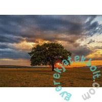 Enjoy 1000 db-os puzzle - Leaves Eclipse (2065)