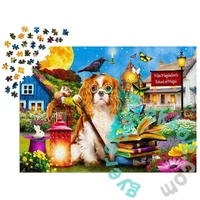 Enjoy 1000 db-os puzzle - Magic School (2039)