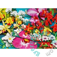Enjoy 1000 db-os puzzle - Orchid Jungle (2033)