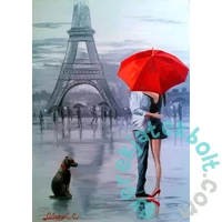Enjoy 1000 db-os puzzle - Paris for Two (1817)