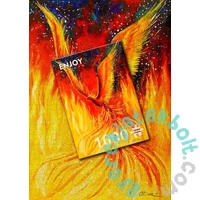 Enjoy 1000 db-os puzzle - Phoenix Bird (1820)