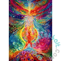 Enjoy 1000 db-os puzzle - Rainbow Epicenter (2201)