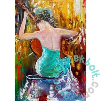 Enjoy 1000 db-os puzzle - Rhapsody in Blue (1437)