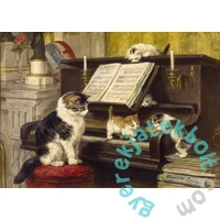 Enjoy 1000 db-os puzzle - The Piano Lesson (1551)