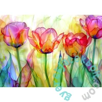 Enjoy 1000 db-os puzzle - Tulip Garden (2338)