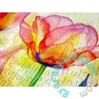 Enjoy 1000 db-os puzzle - Tulip Garden (2338)