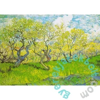 Enjoy 1000 db-os puzzle - Vincent Van Gogh: Orchard in Blossom (1179)