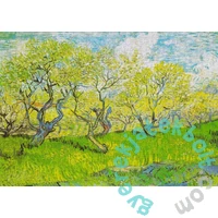 Enjoy 1000 db-os puzzle - Vincent Van Gogh: Orchard in Blossom (1179)