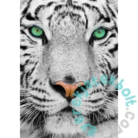 Enjoy 1000 db-os puzzle - White Siberian Tiger (1257)