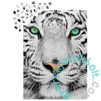 Enjoy 1000 db-os puzzle - White Siberian Tiger (1257)