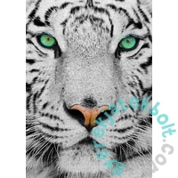 Enjoy 1000 db-os puzzle - White Siberian Tiger (1257)