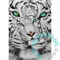 Enjoy 1000 db-os puzzle - White Siberian Tiger (1257)