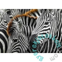 Enjoy 1000 db-os puzzle - Zebras (2103)