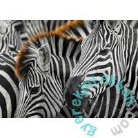 Enjoy 1000 db-os puzzle - Zebras (2103)