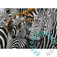 Enjoy 1000 db-os puzzle - Zebras (2103)