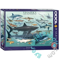 EuroGraphics 1000 db-os puzzle - Sharks (6000-0079)