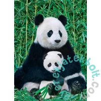 EuroGraphics 1000 db-os puzzle - Panda and Baby (6000-0173)