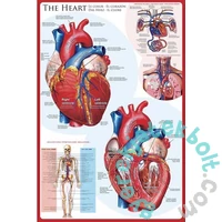 EuroGraphics 1000 db-os puzzle - The Heart (6000-0257)