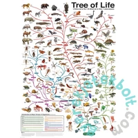 EuroGraphics 1000 db-os puzzle - The Tree of Life (6000-0282)