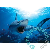 EuroGraphics 1000 db-os puzzle - Hungry Shark (6000-0299)