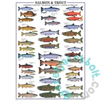 EuroGraphics 1000 db-os puzzle - Salmon &amp; Trout (6000-0311)