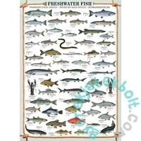 EuroGraphics 1000 db-os puzzle - Freshwater Fish (6000-0312)