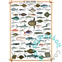 EuroGraphics 1000 db-os puzzle - Sea Fish (6000-0313)