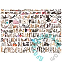 EuroGraphics 1000 db-os puzzle - The World of Cats (6000-0580)