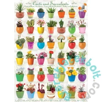 EuroGraphics 1000 db-os puzzle - Cacti and Succulents (6000-0654)