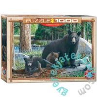 EuroGraphics 1000 db-os puzzle - New Discoveries (6000-0793)