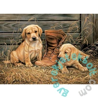 EuroGraphics 1000 db-os puzzle - Something Old, Something New (6000-0795)