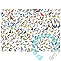 EuroGraphics 1000 db-os puzzle - The World of Birds (6000-0821)
