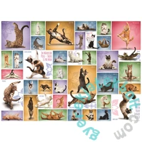 EuroGraphics 1000 db-os puzzle - Yoga Cats (6000-0953)