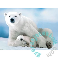 EuroGraphics 1000 db-os puzzle - Polar Bear &amp; Baby (6000-1198)
