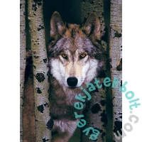 EuroGraphics 1000 db-os puzzle - Gray Wolf (6000-1244)